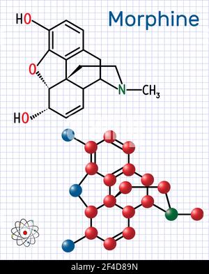 Morphine molecule. It is a pain medication of the opiate. Structural chemical formula and molecule model. Sheet of paper in a cage Stock Vector