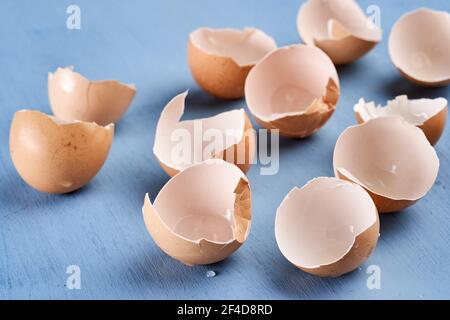 Broken egg shells on blue background Stock Photo