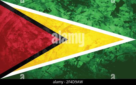 Guayana flag country isolated vector illustration design Stock Vector