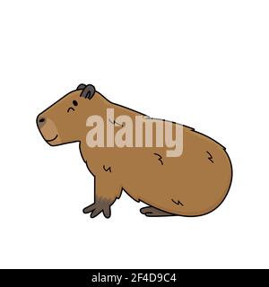 Vector brown cute cartoon outline Capybara smiles and lying on the ground, eyes closed, dreaming or sleeping. Doodle isolated illustration of animal i Stock Vector