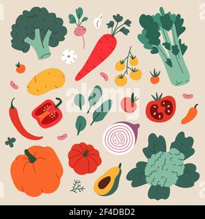Vegetable food illustration, modern drawing of broccoli, cauliflower and celery, healthy eating cooking ingredients, vector cliparts Stock Vector