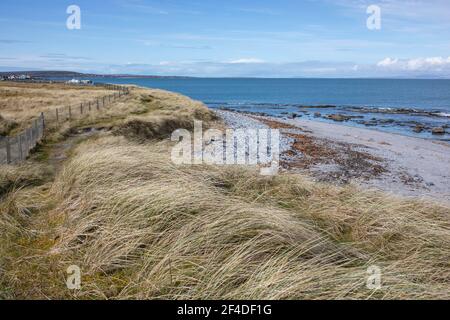 Landscape with grey pebble beach, beige dry grass, blue ocean and sunny, blue sky on Inisheer island, the smallest of Aran islands. Stock Photo