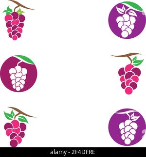 Grape logo template vector icon illustration design Stock Vector