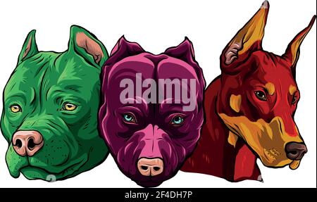 Heads of dogs pitbull dobermann bulldog vector Stock Vector