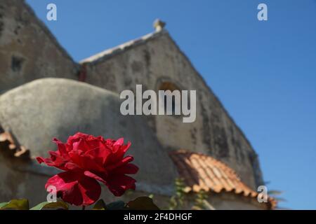 Red rose in front of Arkadi monastery, Crete Stock Photo