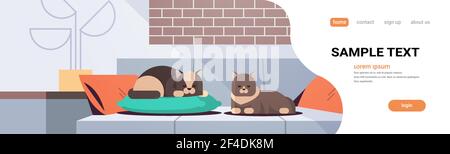 two cats sleeping on pillow fluffy adorable cartoon animals relaxing on sofa modern living room interior domestic kitty home pet concept flat full Stock Vector