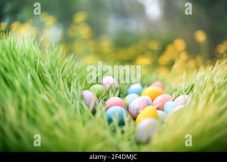 Colorful painted Easter eggs hidden in grass for an Easter egg hunt. Stock Photo