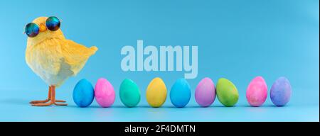 Easter decoration of a yellow chick wearing silly sunglasses with a row of colorful painted Easter eggs. Stock Photo