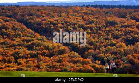 An explosion of autumn colours at Queen Elizabeth Country Park provides a stunning backdrop for weekend walkers at Butser Hill near Petersfield in Hampshire. PIC MIKE WALKER, 2014 Stock Photo