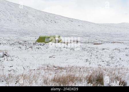 Wild camping in winter in Scotland - green tent in snow in Glen Coe (Glencoe) behind the Kingshouse Hotel, Scotland, UK Stock Photo