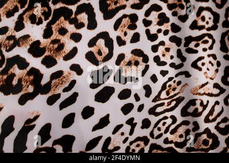 Leopard fur background. Leopard skin texture. Leopard print. Background with a pattern of leopard spots, safari background, banner design Stock Photo
