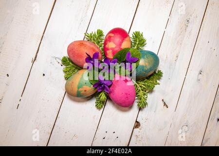 Easter composition. Natural coloured eggs with delicate violets and little succulents on a white wooden background. Stock Photo