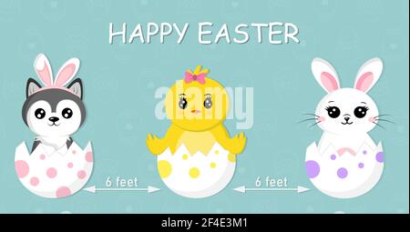 Social distancing infographic between dog, chicken and bunny. Animal holidays cartoon character in flat style. Coronavirus concept and Easter holiday. Stock Vector