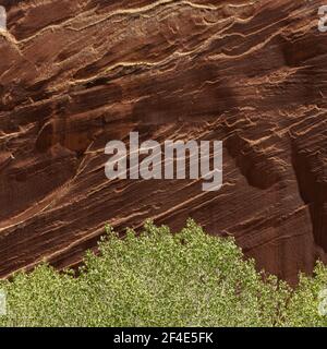 Diagonal Layers of Sandstone Above Green Trees with copy space Stock Photo