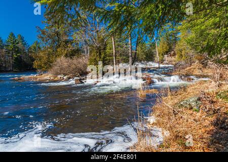 Elliot Falls Trails and Conservation Area Norland Ontario Canada in early spring Stock Photo