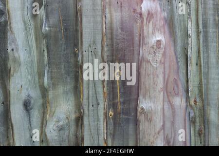 Texture of a wooden wall made of gray slats. Stock Photo