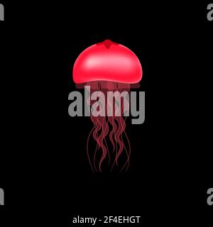 Red jellyfish on a black background. Vector illustration. Stock Vector