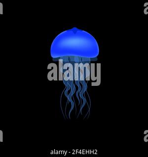 Blue jellyfish on a black background. Vector illustration. Stock Vector
