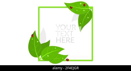 Square Frame Banner With Red Ladybugs And Green Leaves with Water Drops Isolated Vector Illustration Art Stock Vector