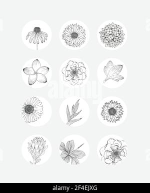 Social media story highlights covers. Abstract flowers and leaves Stock Vector