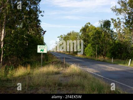 A care for our wildlife sign beside a highway near Nebo in Central Queensland to help drivers be more aware of koalas and other animals on the road. Stock Photo