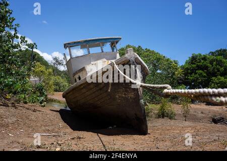 Derelict old pleasure boat with flaking paint and rusted hull left to rot in amongst the mangrove trees in tropical North Queensland, Australia. Stock Photo