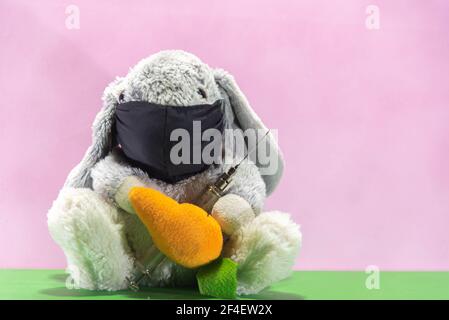 Plush Easter rabbit with a syringe to fight the covid-19. Catholic festival. The Easter rabbit is the one who brings the chocolate eggs and hides them Stock Photo