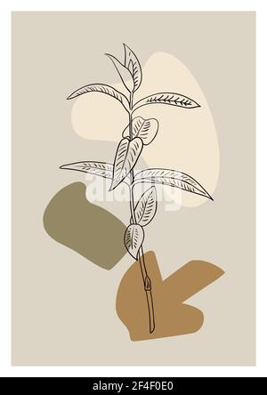 Elegance minimalistic contemporary poster with line art plants and abstract shapes in earth color palette. Stock Vector