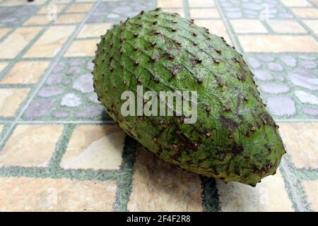 Dark green soursop or sirsak in Indonesia. Stock Photo
