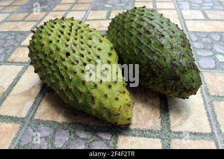 Two green soursops or sirsak in Indonesia. Stock Photo