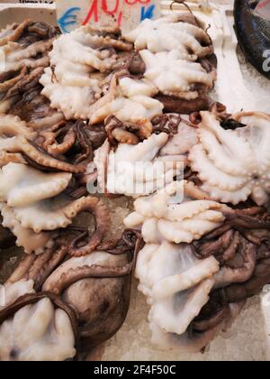 Cuttlefish in open seamarket, Napoli Stock Photo
