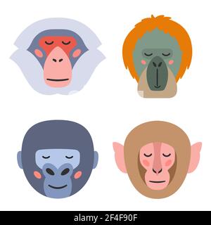 Vector illustration of heads of different types of monkeys with closed eyes on white background Stock Vector
