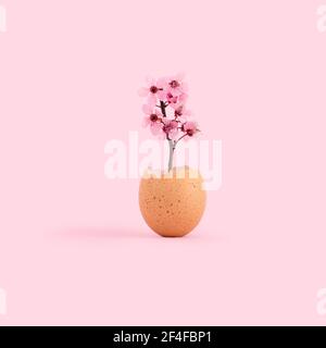 A vertical shot of flowers growing from a cracked egg on a pink background Stock Photo