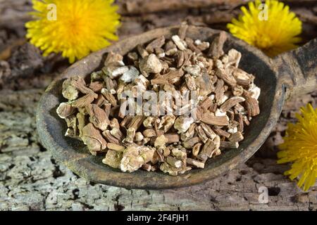 dried-dandelion-root-taraxacum-officinale-dandelion-stock-photo-alamy