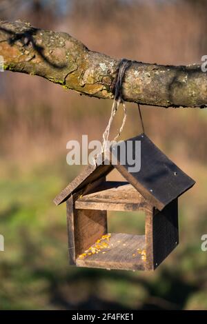 Wooden bird feeder hanging on a tree branch Stock Photo
