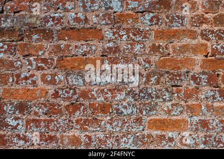 Old Brick Wall, castle wall in England, Europe Stock Photo