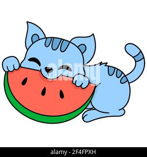 cute pet cat eating watermelon Stock Vector
