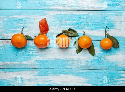 The concept of racial difference and tolerance. One persimmon and several tangerines lie in a row on a blue wooden table. Copy space. Stock Photo