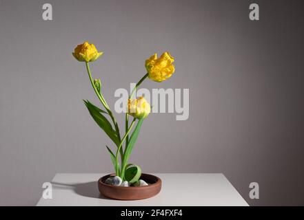 Flower arrangement of yellow tulips Stock Photo