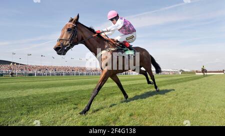 RACING AINTREE GRAND NATIONAL MEETING.  THE MELLING CHASE AFTER THE LAST ROBERT THORNTON ON VOY POR USTEDES ON HIS WAY TO WINNING. 4/4/2008. PICTURE DAVID ASHDOWN Stock Photo