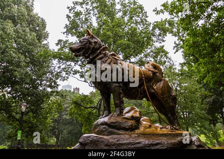 Profile of the statue of Balto in Central Park Stock Photo