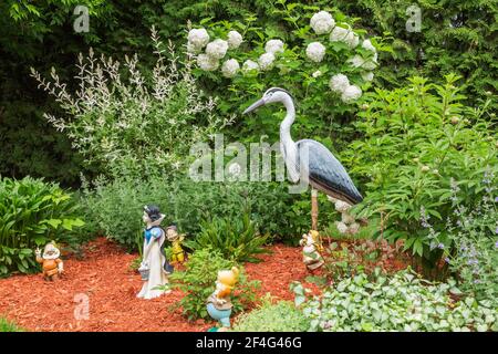 Heron bird sculpture, Snow White and some of the seven dwarfs figurines in red mulch border with Hydrangea arborescens 'Annabelle' - Hydrangea Stock Photo