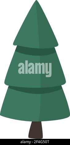 pine tree plant Stock Vector