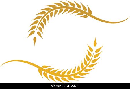 Wheat vector icon illustration design Stock Vector