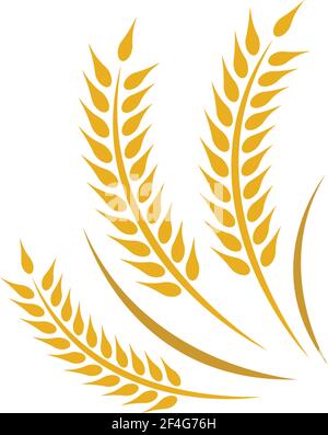 Wheat vector icon illustration design Stock Vector