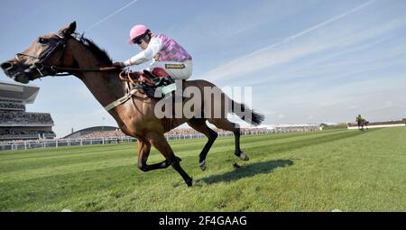 RACING AINTREE GRAND NATIONAL MEETING.  THE MELLING CHASE AFTER THE LAST ROBERT THORNTON ON VOY POR USTEDES ON HIS WAY TO WINNING. 4/4/2008. PICTURE DAVID ASHDOWN Stock Photo