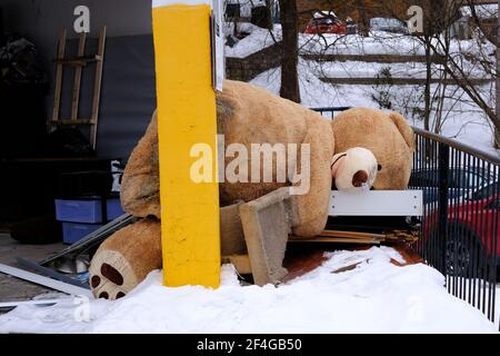 Bizarre giant teddy bear thrown on to the "large item" garbage area of our apartment building. Off to the teddy knacker's yard. Stock Photo