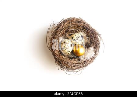 Golden eggs in a birds nest on a whight background Stock Photo