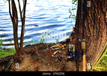 fishing silicone lures spinning rod, old tree with textured bark on the river bank, close-up copy space, selective focus Stock Photo