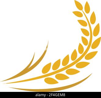 Wheat logo template vector icon illustration design Stock Vector